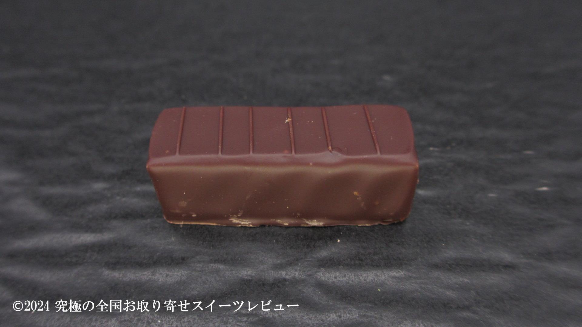 アビシニの正面