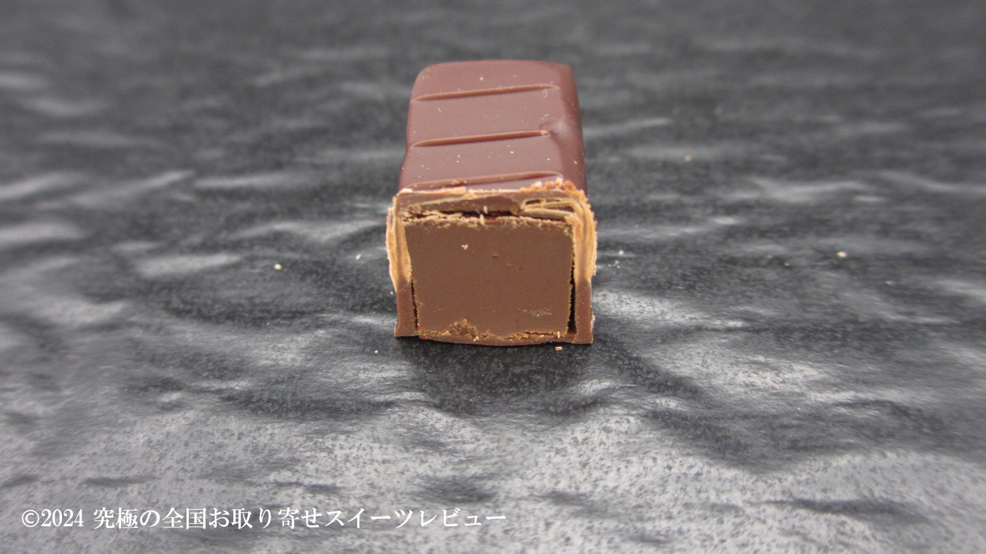 アビシニの断面